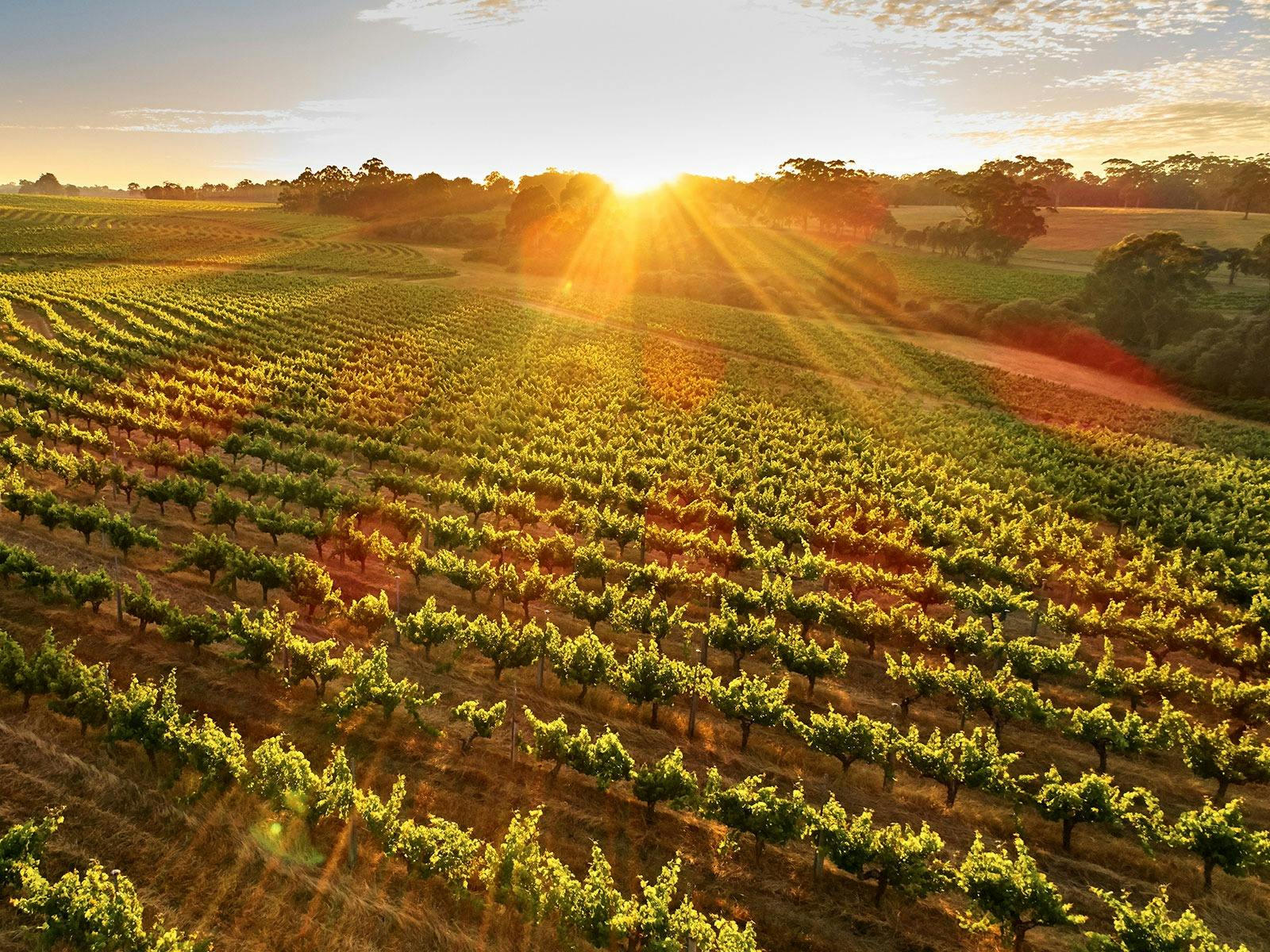 AAT Kings Guided Holiday, Perth, Western Australia