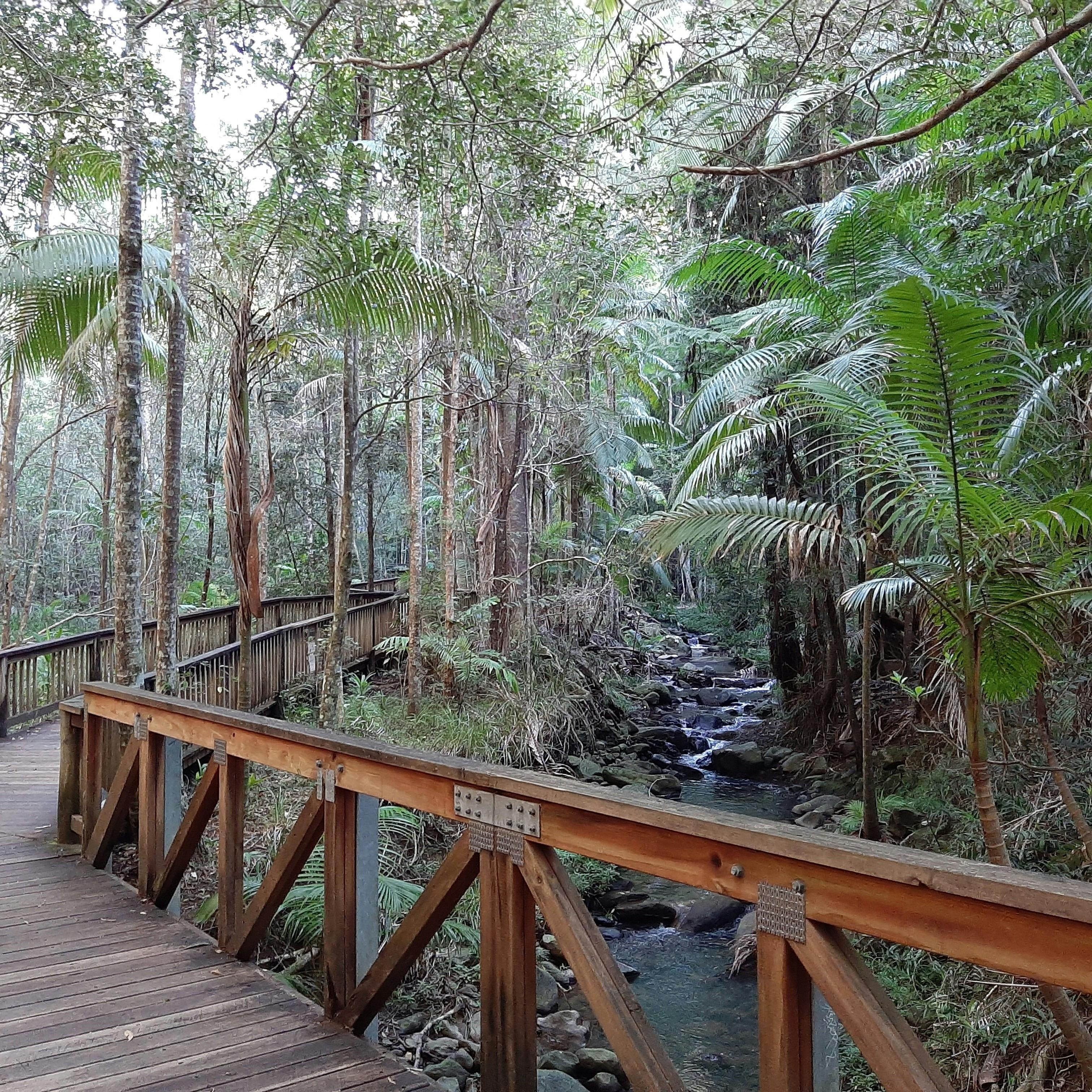 Buderim Forest Park