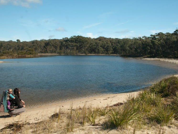 Nerindillah Lagoon walking track