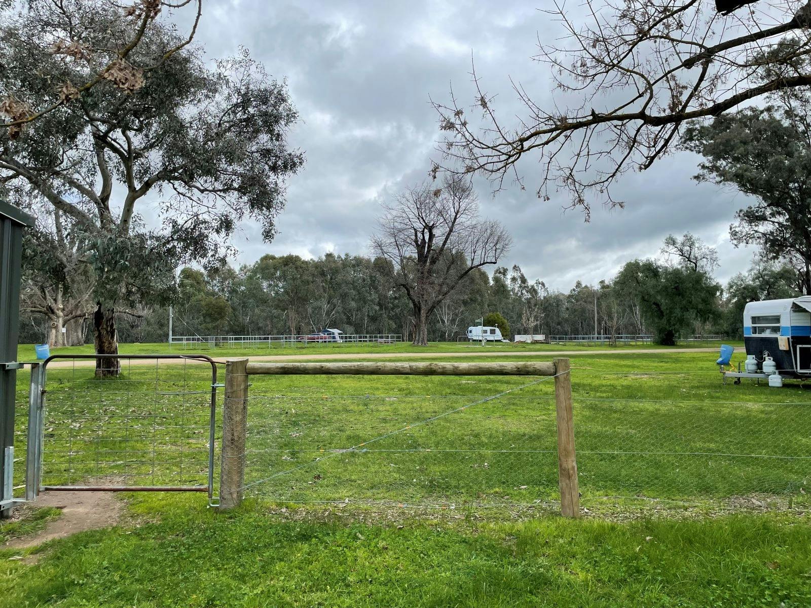Green paddocks with a gate and wooden framed fence