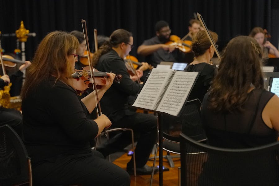 Illawarra's Chamber Orchestra