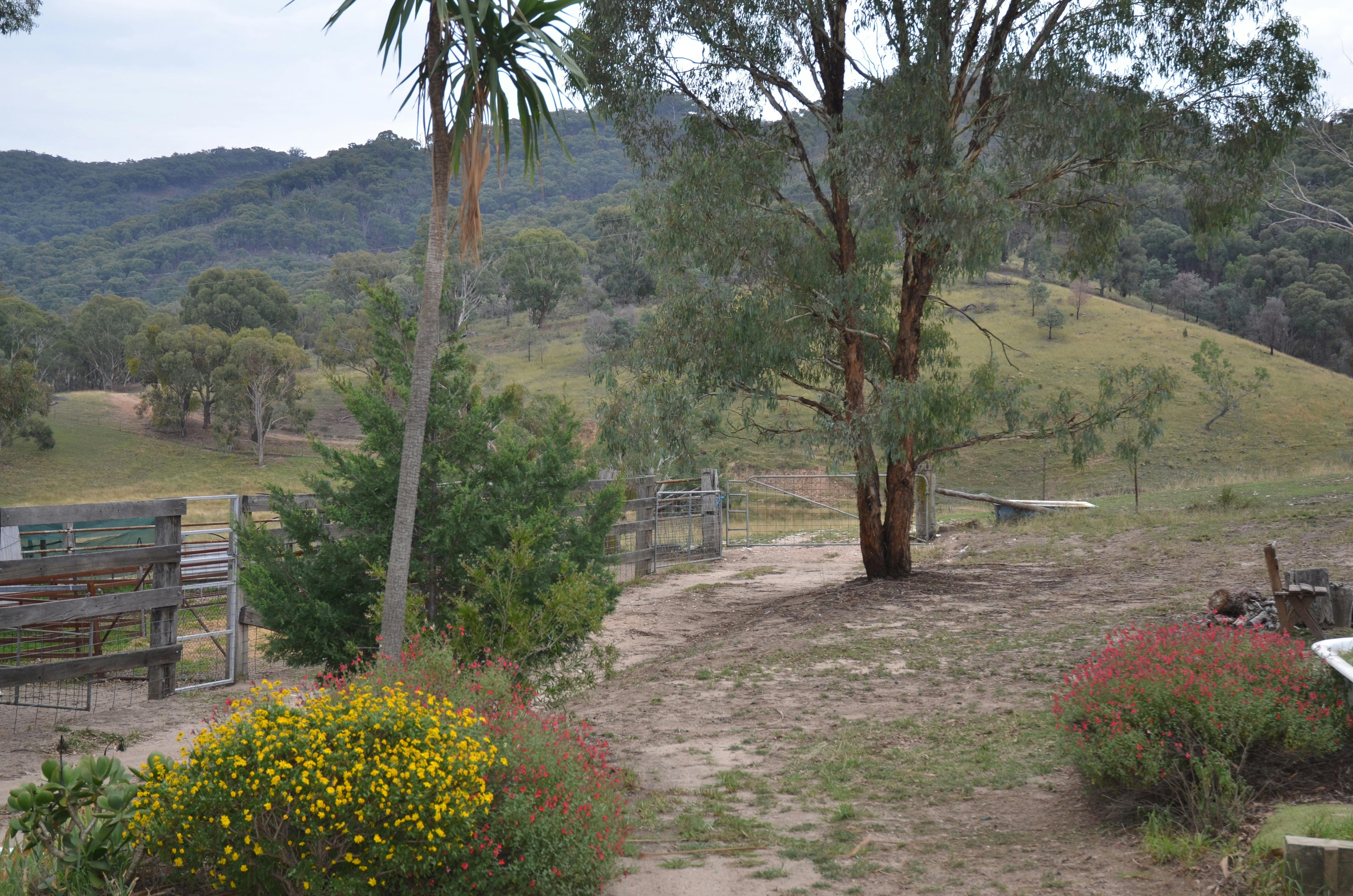 後ろのベランダからの眺め