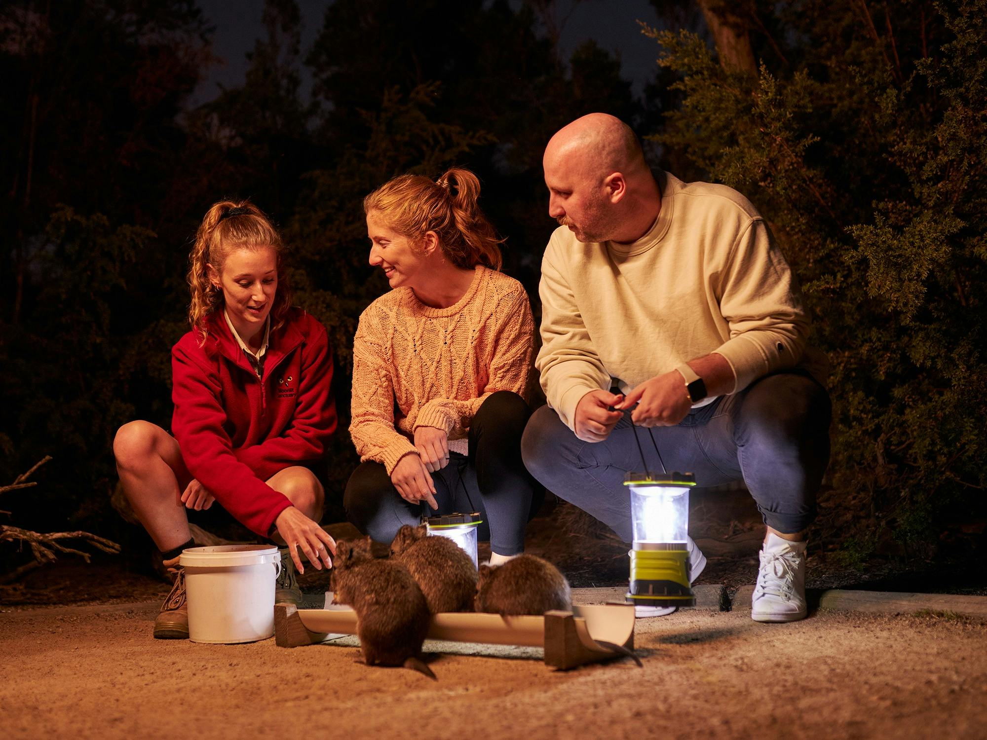 Potoroos eating while being watch by two visitors and a Moonlit Sanctuary guide