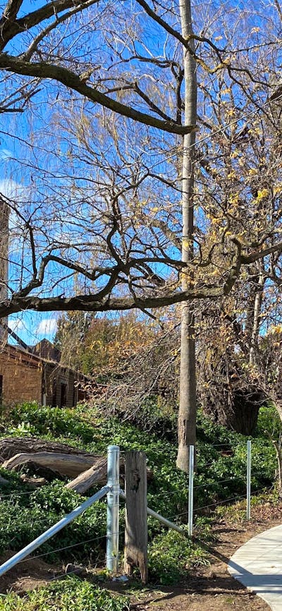 Mulwaree River Walkway - Bradley Grange (Old Goulburn Brewery)