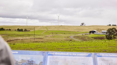 Landscape shot of wind farm paddocks