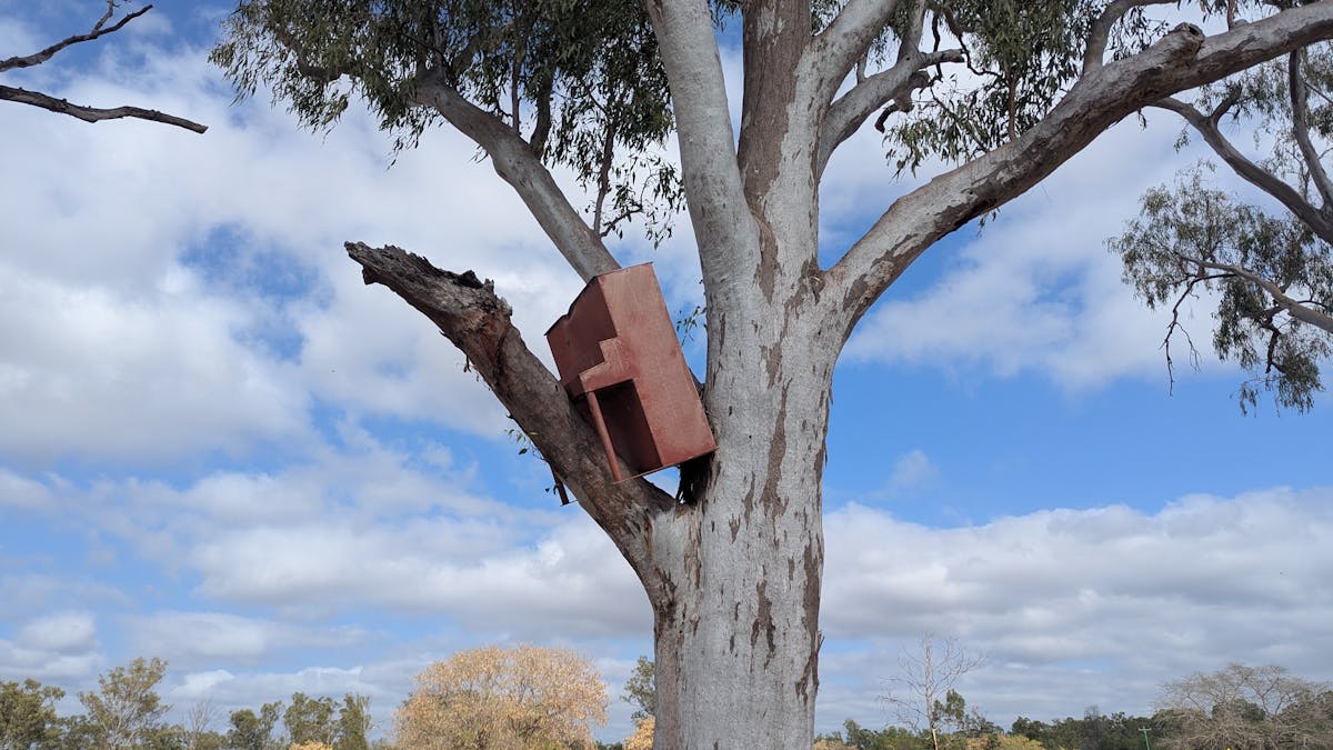 Piano in a Tree - Clermont Piano in a Tree - Clermont