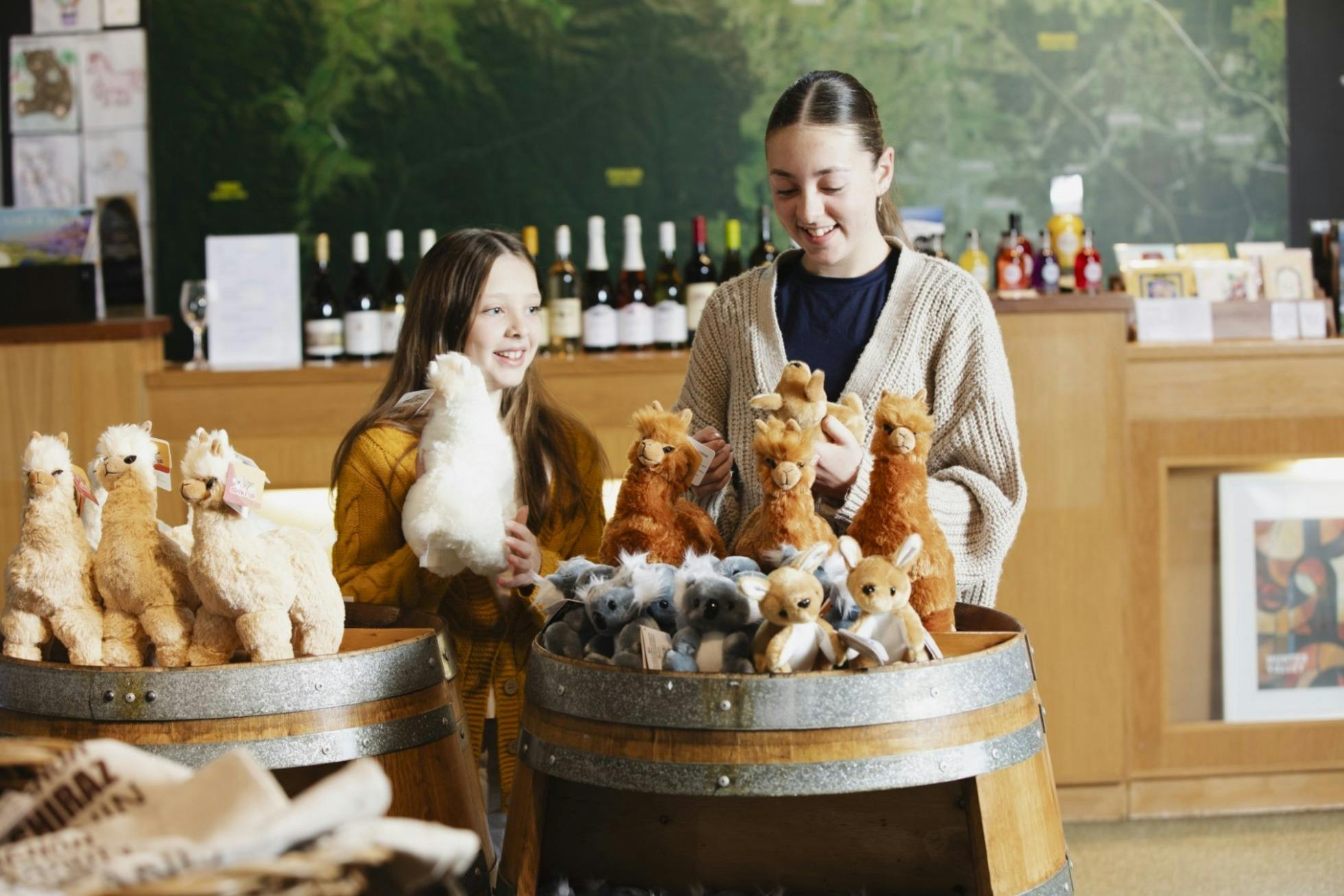 Kids shopping soft toy range at Shop Hunter Valley