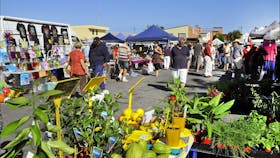 Maclean  Markets