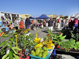 Maclean  Markets Cover Image