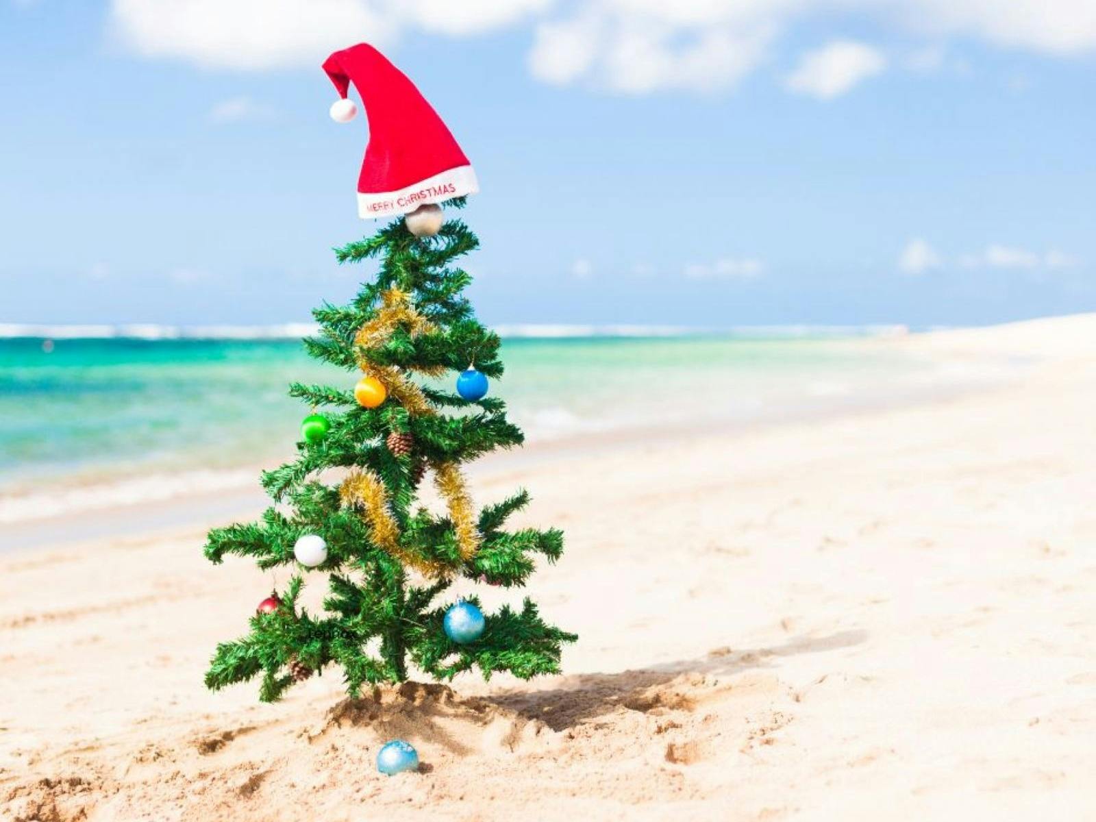 Christmas Tree on beach