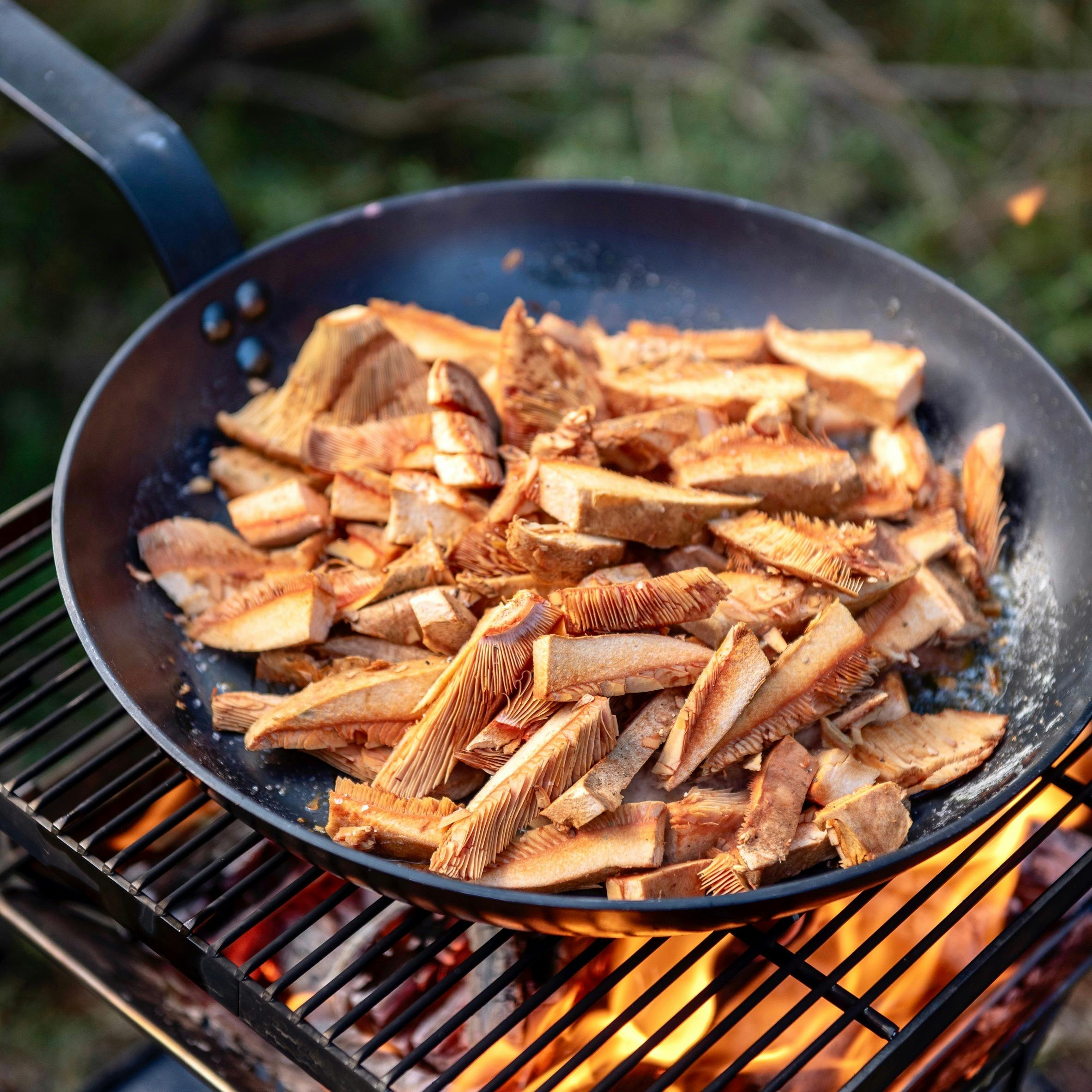 Wild Food Cook
