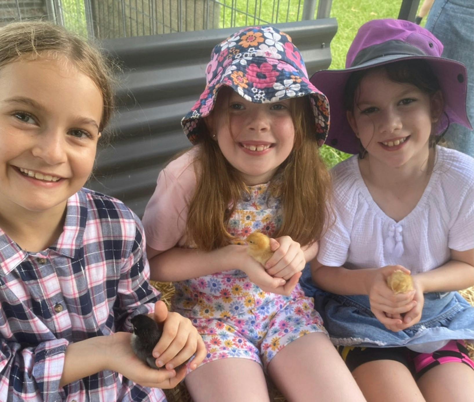 Harrisville Sunday Farm Day