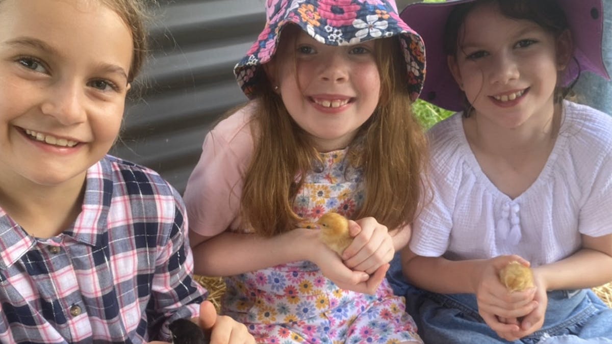 three kids holding baby chicks