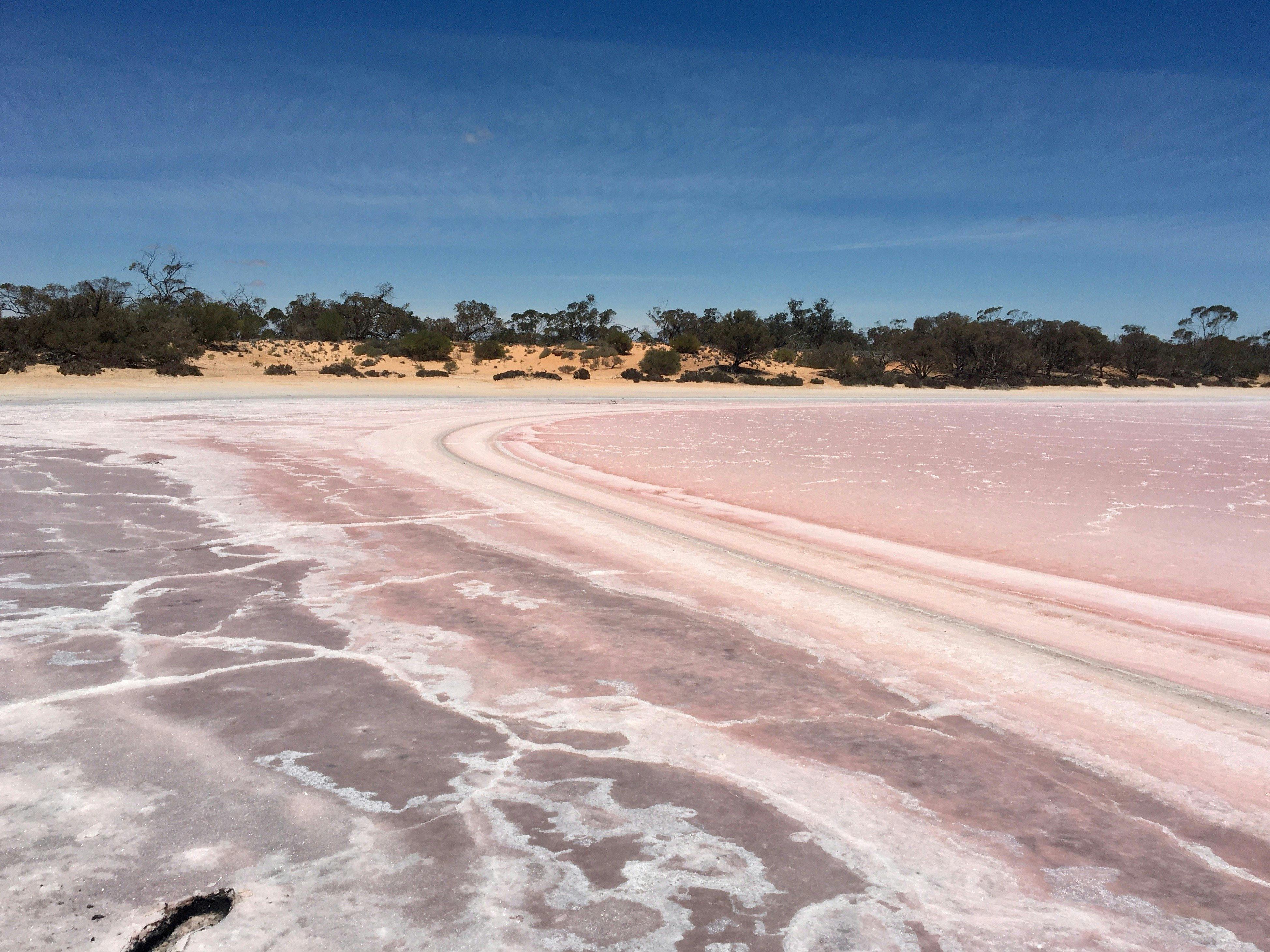 塩湖、とても興味をそそられます。美しいウェット、美しいドライ。