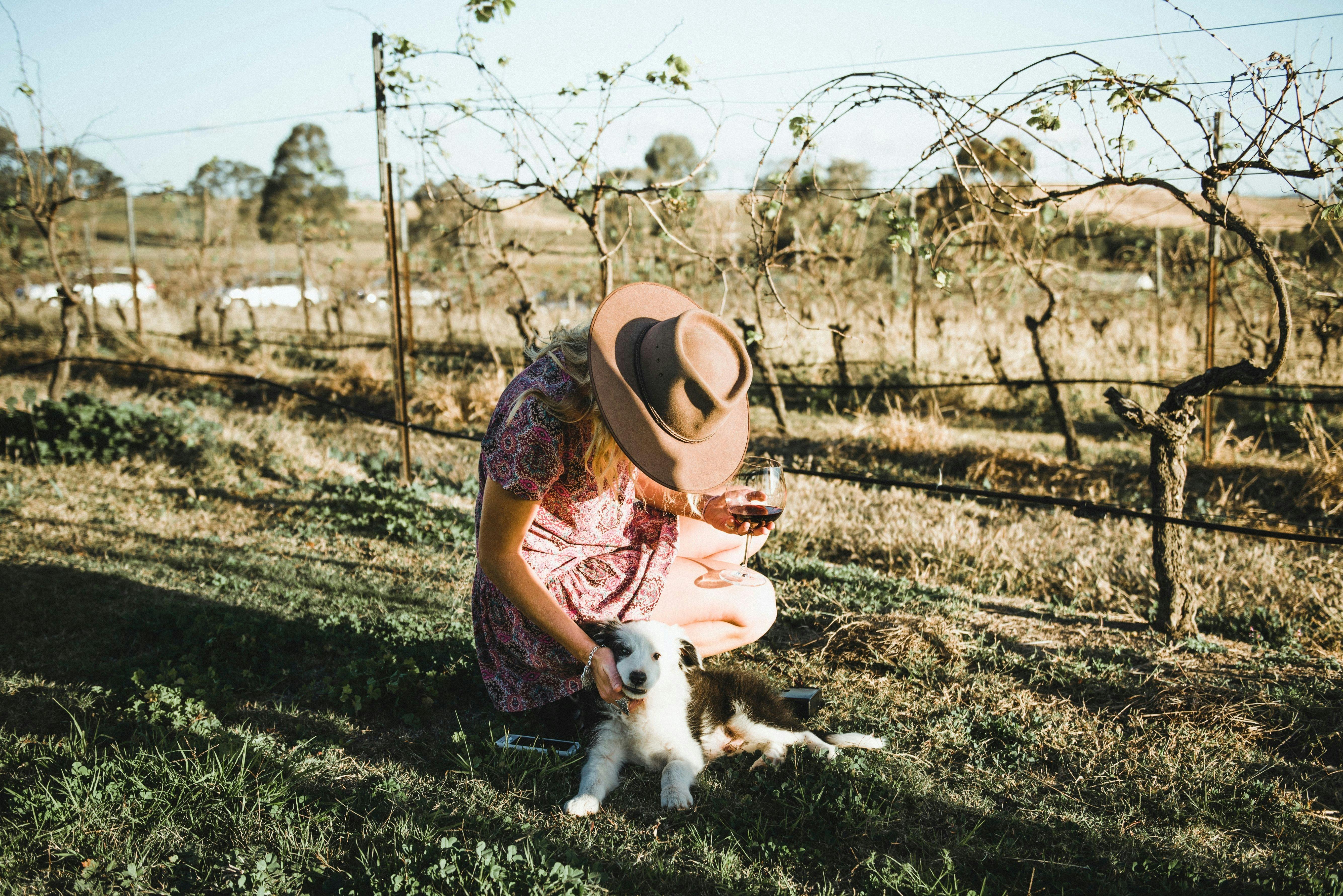 一位女士在羅斯伯里藍莓山酒莊撫摸常駐的釀酒犬