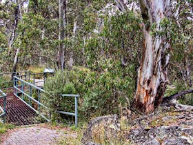 Sawpit Walking Track