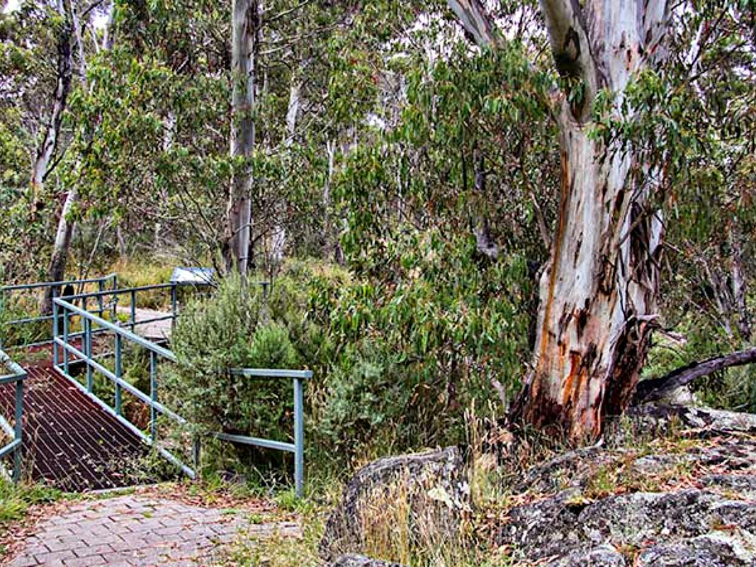Sawpit Walking Track