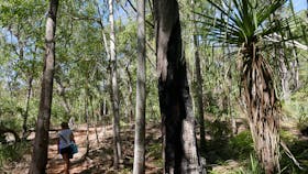 Greenant Creek / Tjaetabe Falls, Litchfield Park, Northern Territory.