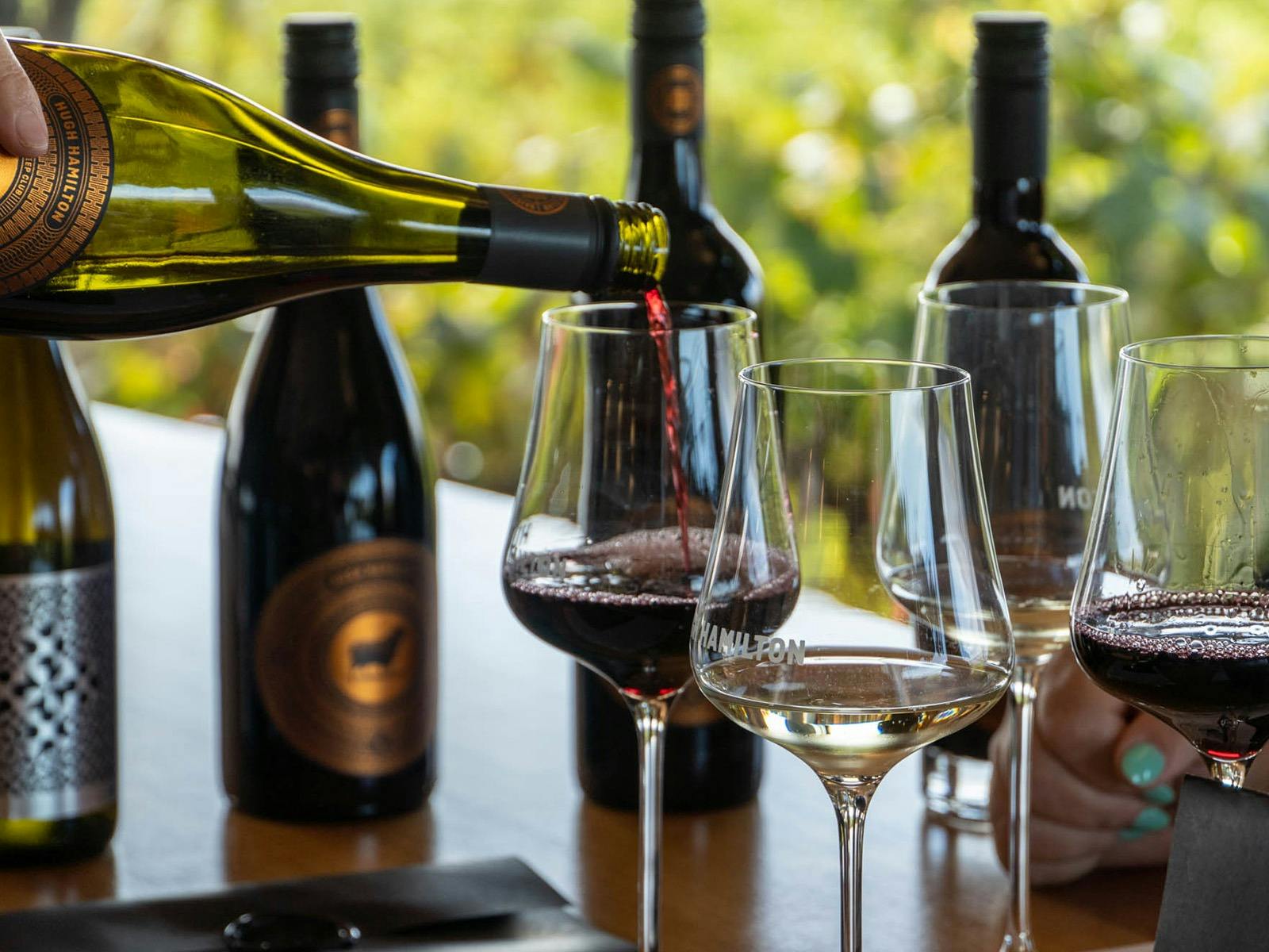Wine Tasting
