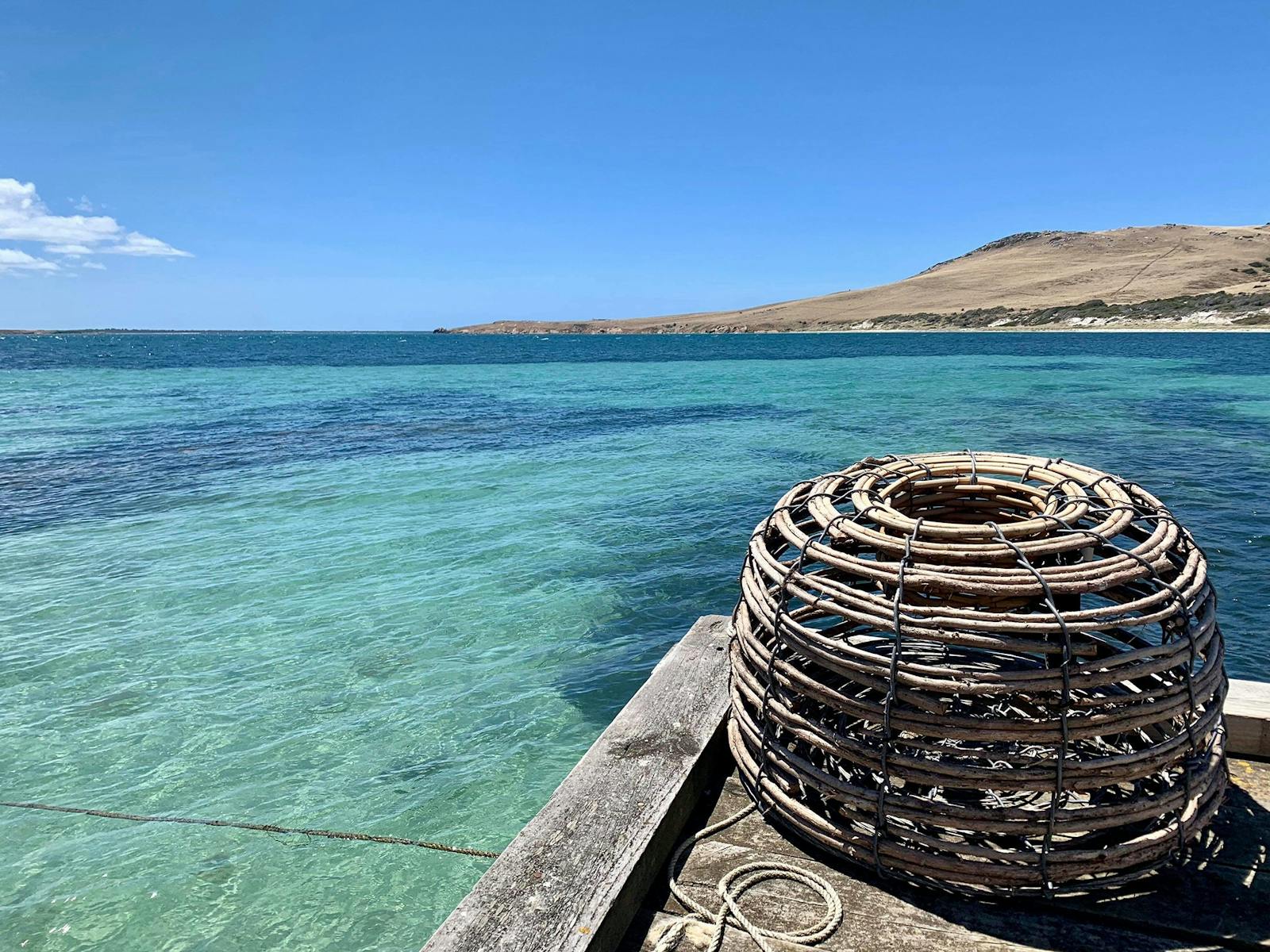 Image for Flinders Island Food & Crayfish Festival