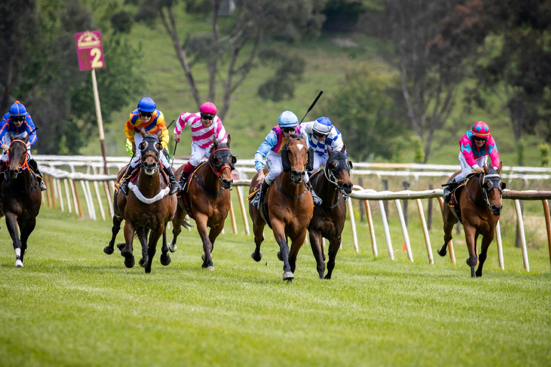 Racing at Healesville Picnic Races