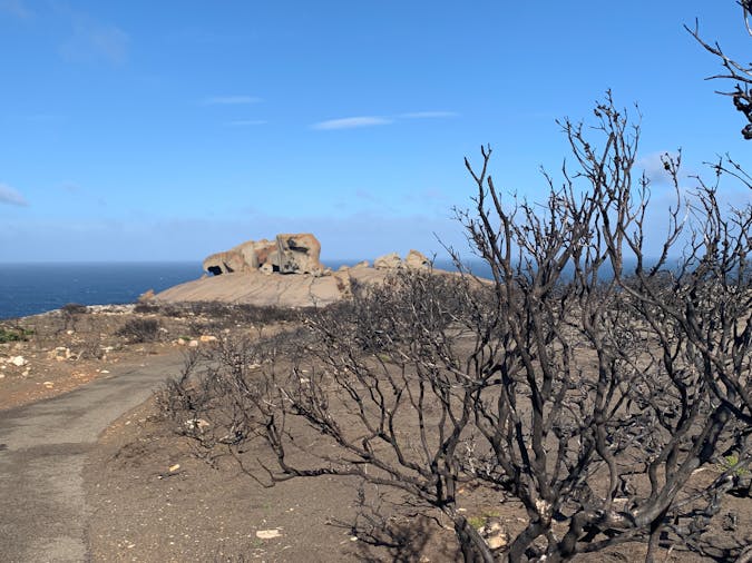 Flinders Chase Express Tour