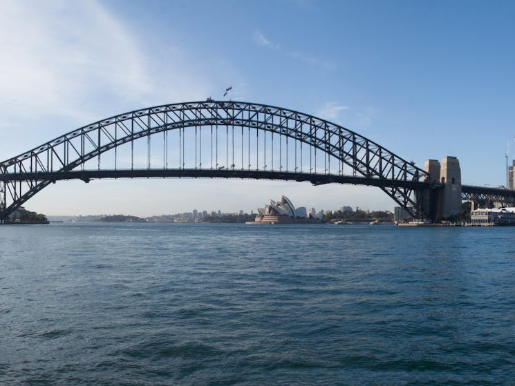 Sydney harbour breakfast paddle view