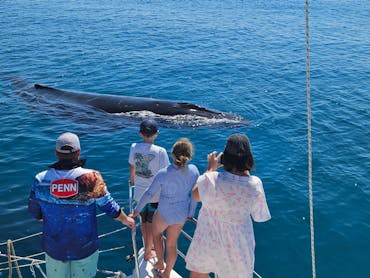 Whale swims close to the catamaran with a family standing, watching and taking photos. Whale swims close to the catamaran with a family standing, watching and taking photos.