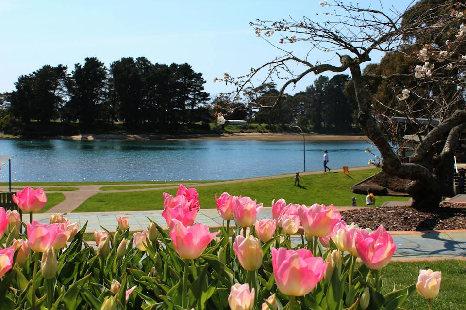 Richard Gutteridge Gardens photo