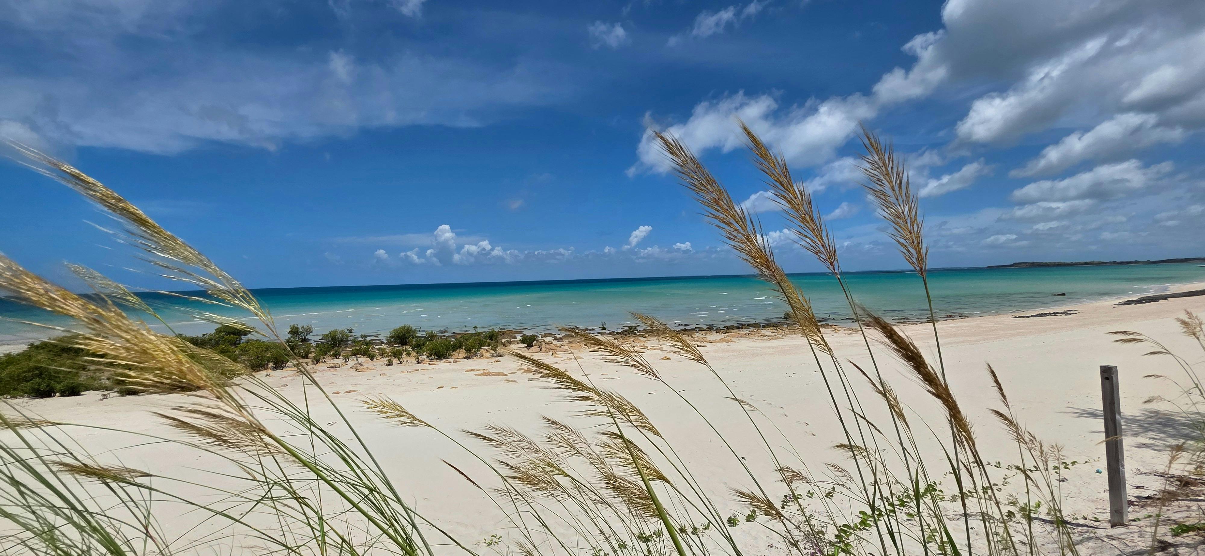Jolojo Beach, Ardyaloon