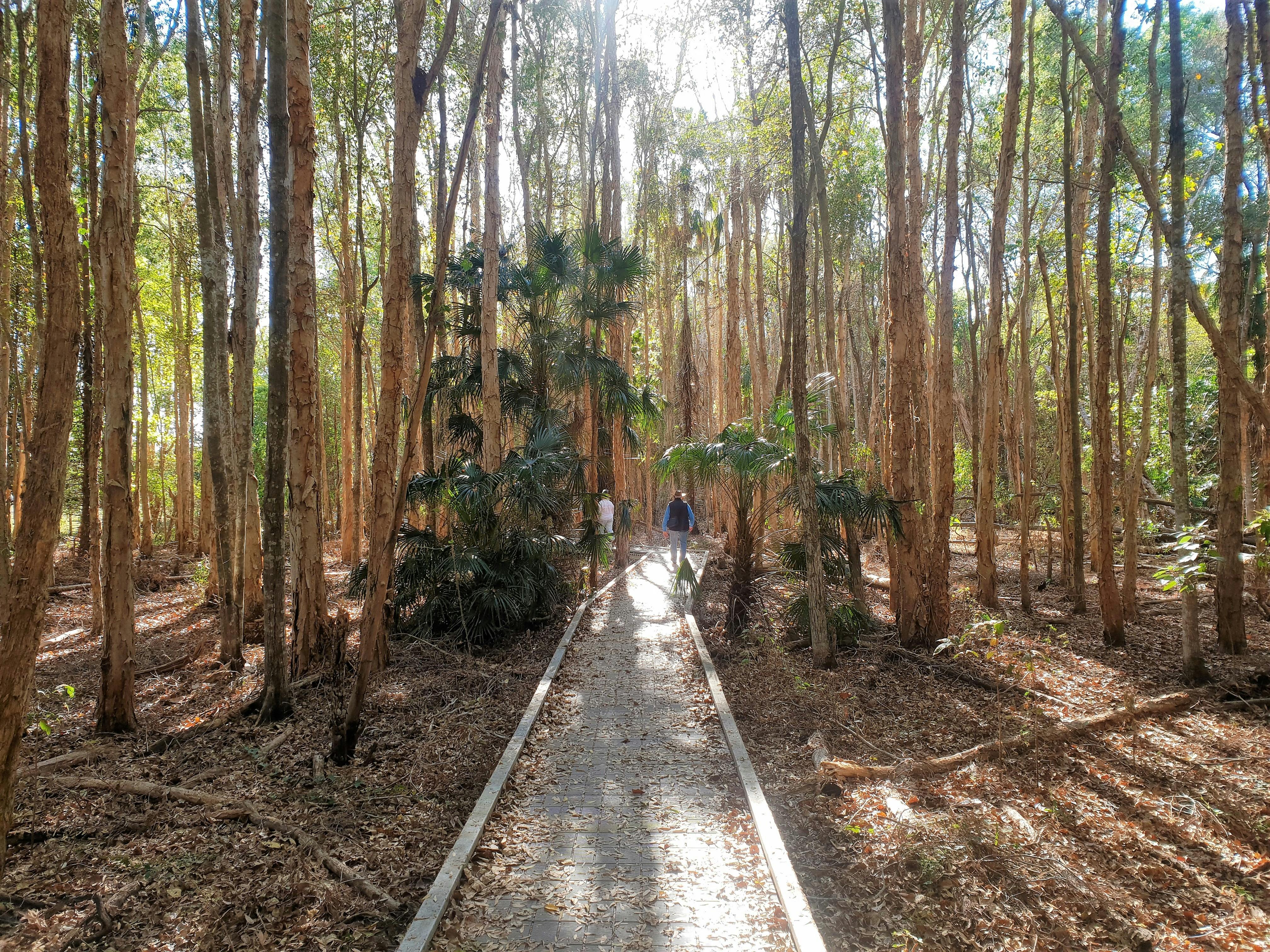 Fogg Dam Walk