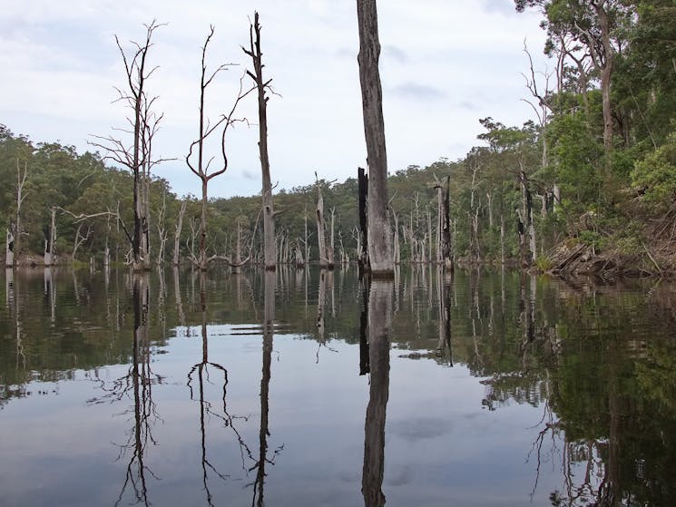 Lake Yarunga