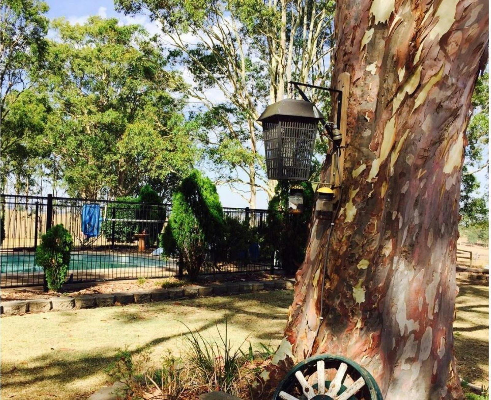 Bella Wind Accommodation