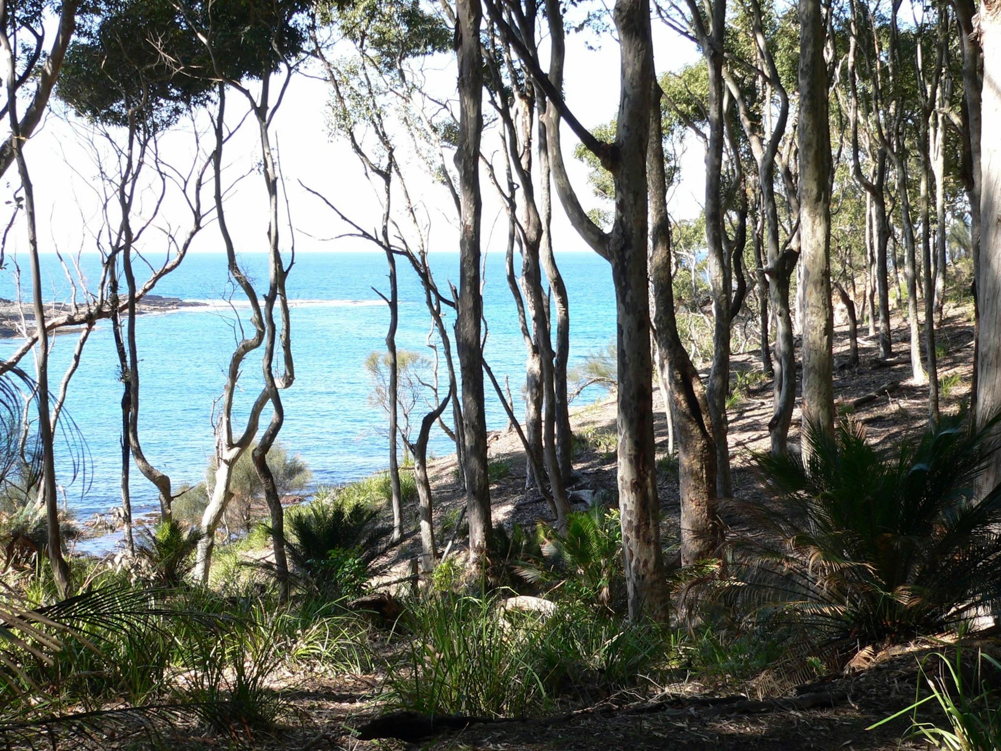 Myrtle Beach, South Durras