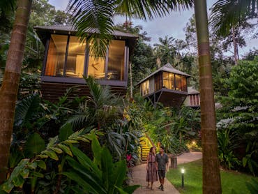 Daintree Ecolodge Daintree Ecolodge