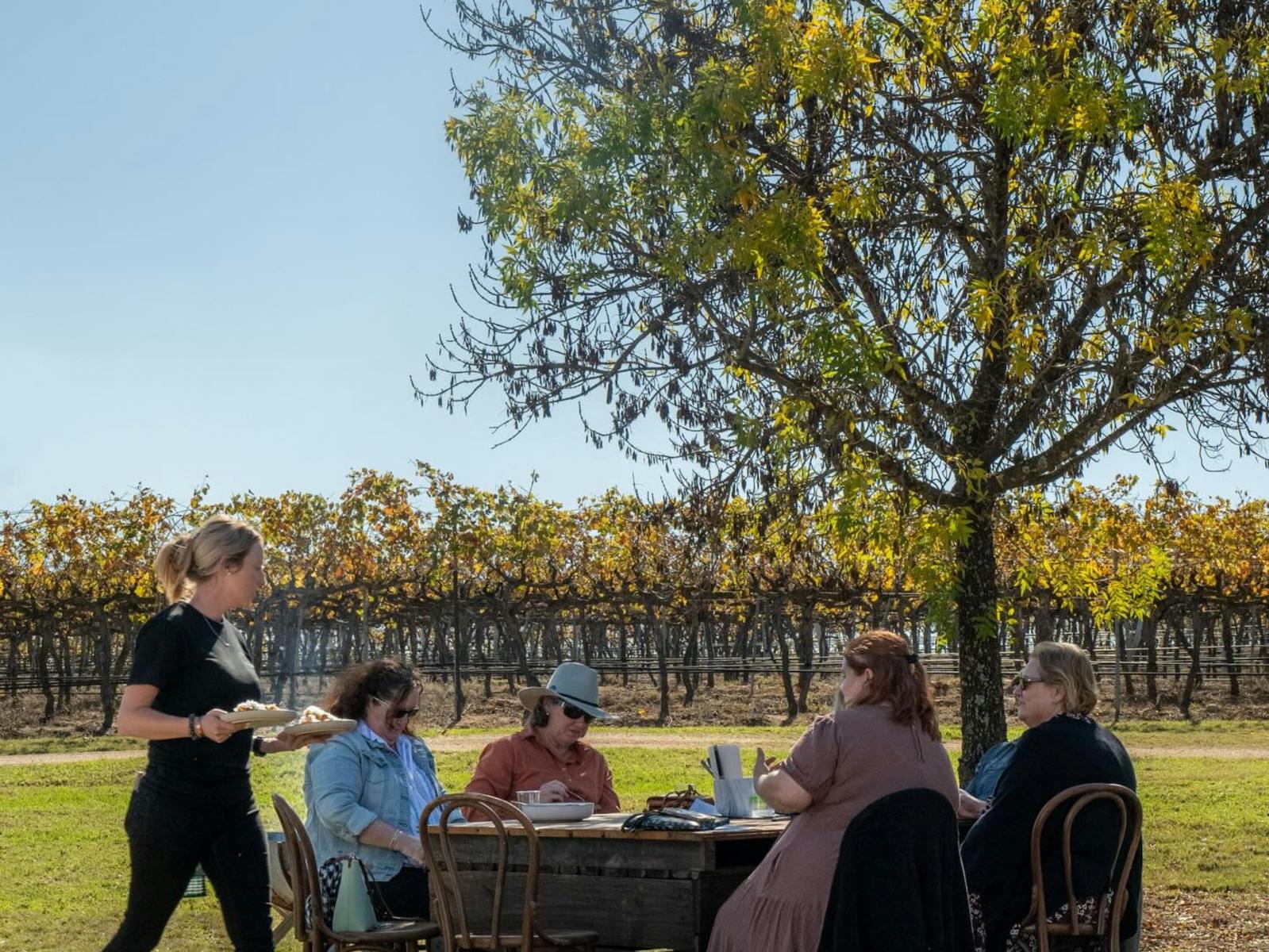 A group sits in the vineyard at Dear Vincent for a long lunch wine tasting and dining experience A group sits in the vineyard at Dear Vincent for a long lunch wine tasting and dining experience