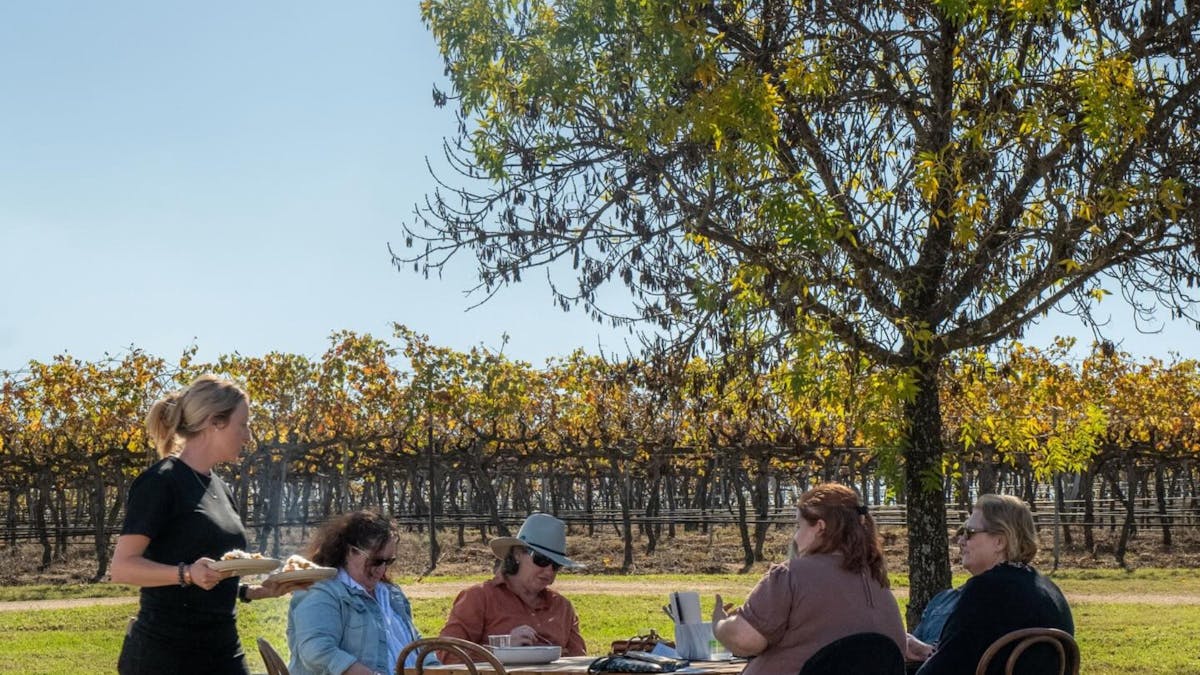 A group sits in the vineyard at Dear Vincent for a long lunch wine tasting and dining experience