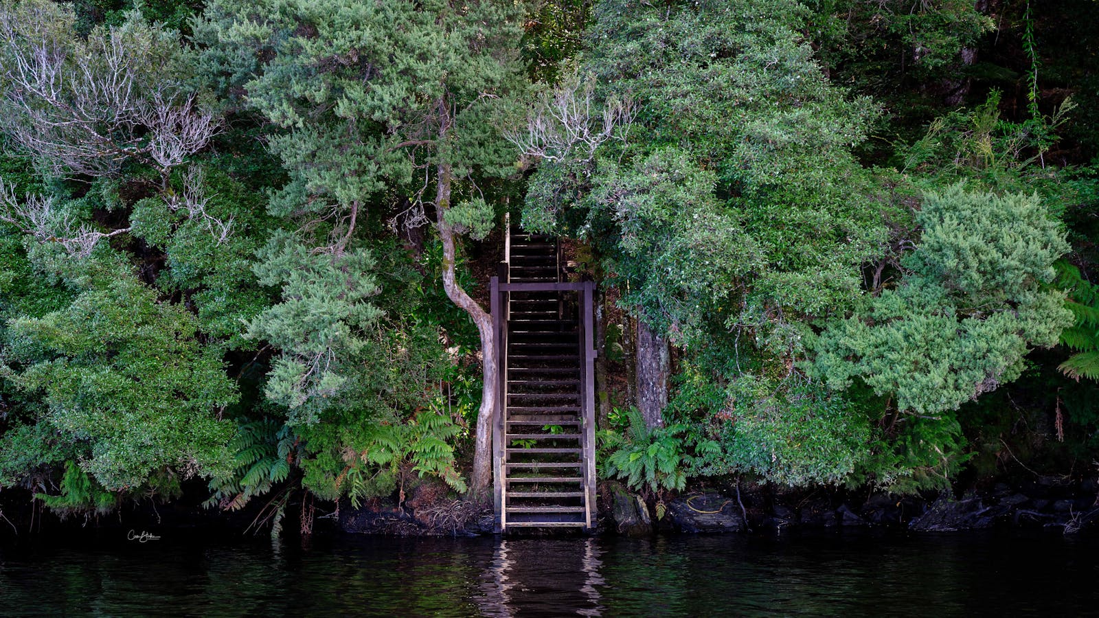 Pieman River - Tarkine