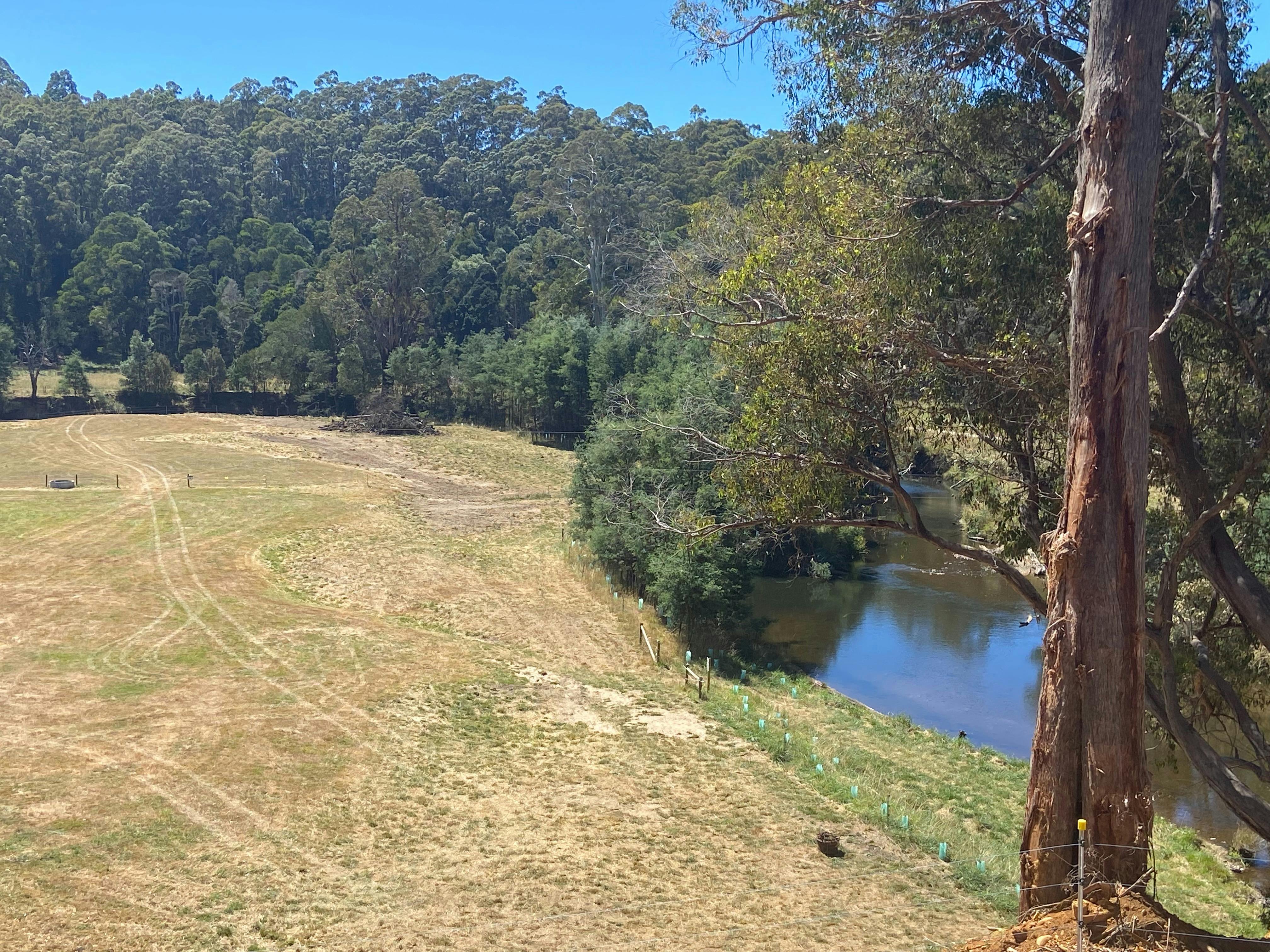 Perfect paddocks for camping