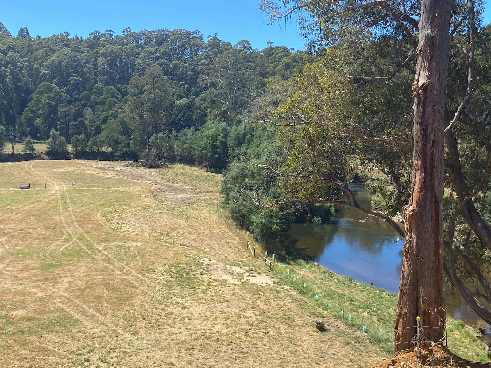 Perfect paddocks for camping