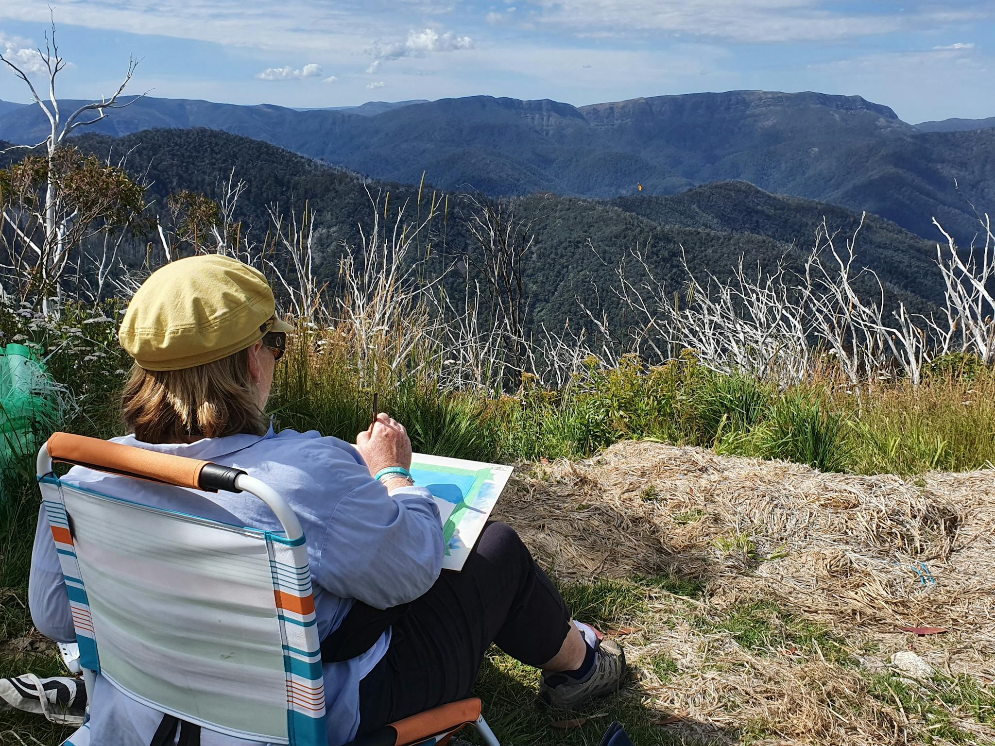 artist painting the mountains and dead snow gums
