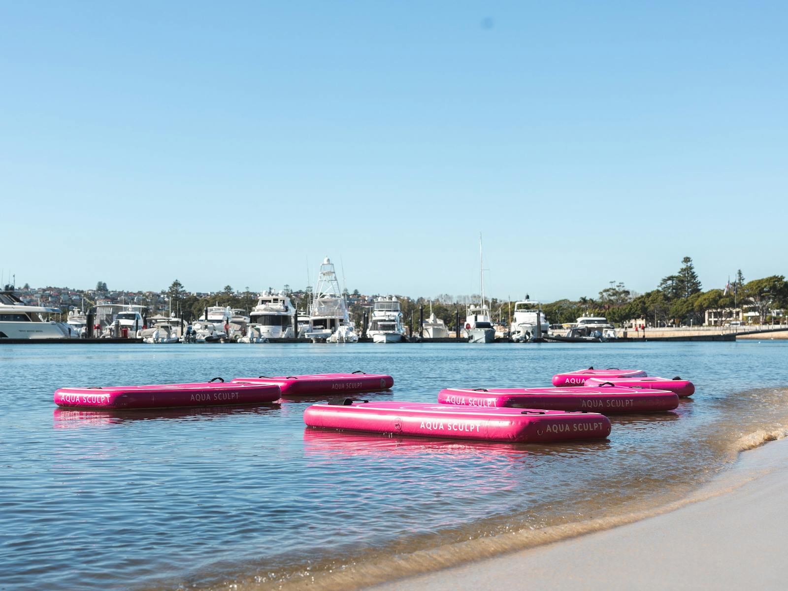 Multiple Aqua Sculpt boards floating on the water at Bellamy Beach Rose Bay