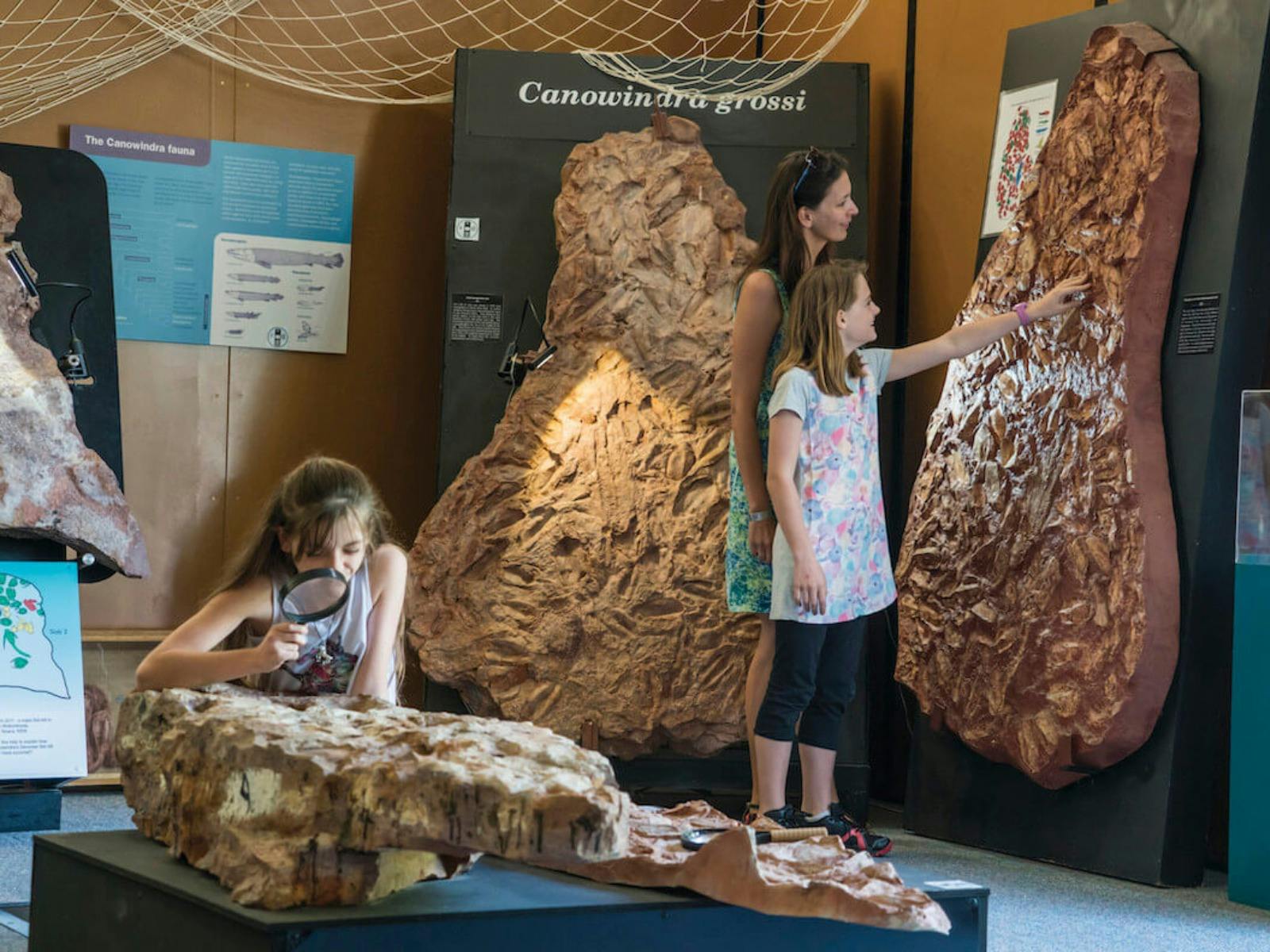 Age of Fishes Museum Canowindra