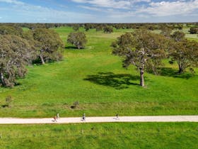 Aussie Camino walkers walking through red gum farmland