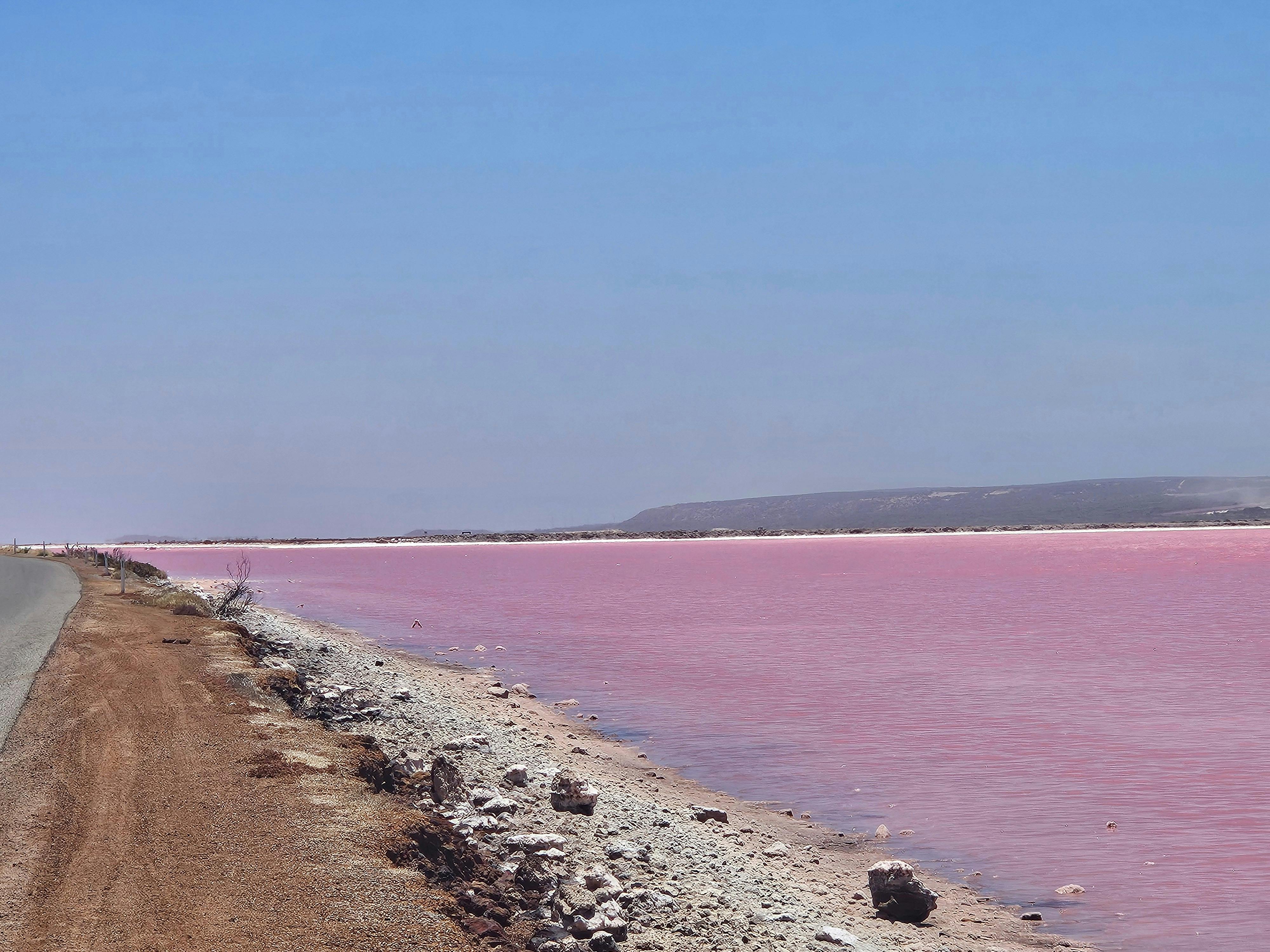 Pink Lake
