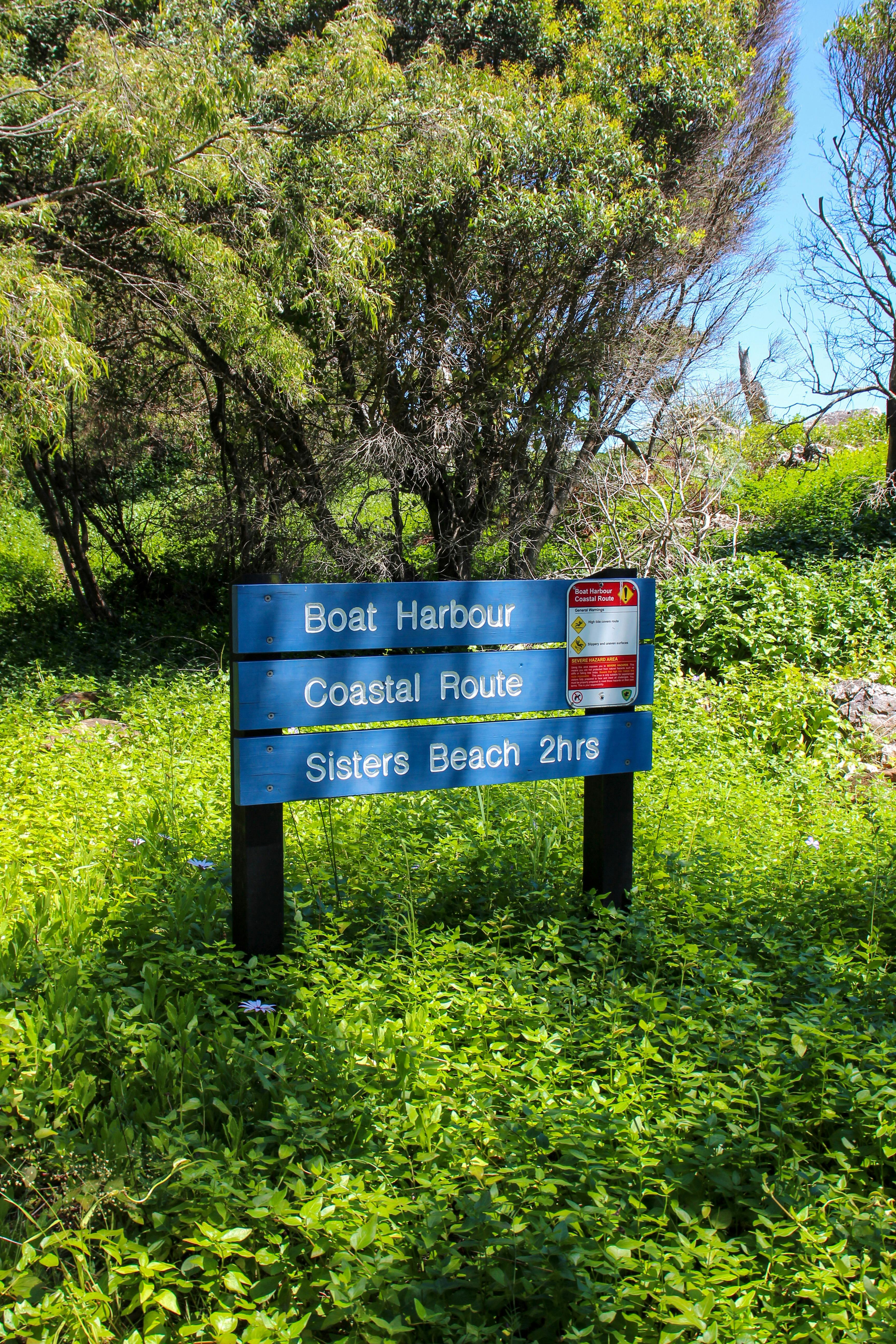 Boat Harbour Beach walking track to Sisters Beach Tasmania