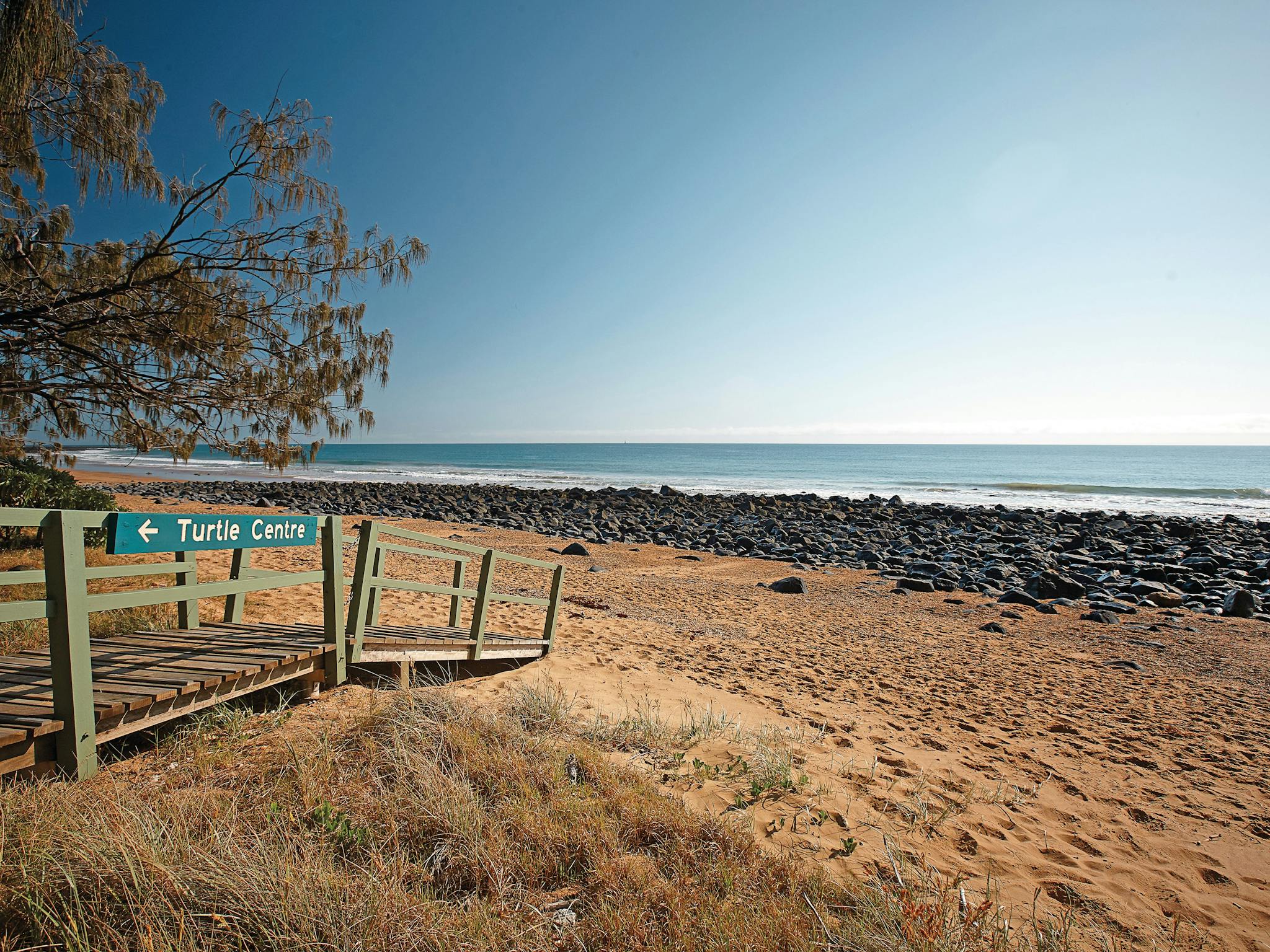 Mon Repos Beach Mon Repos Beach