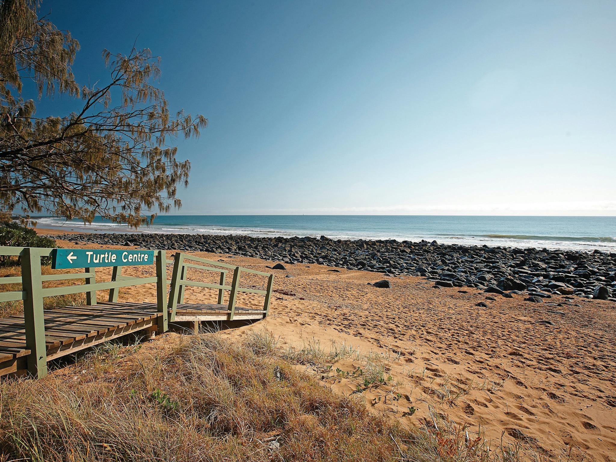 Mon Repos Beach