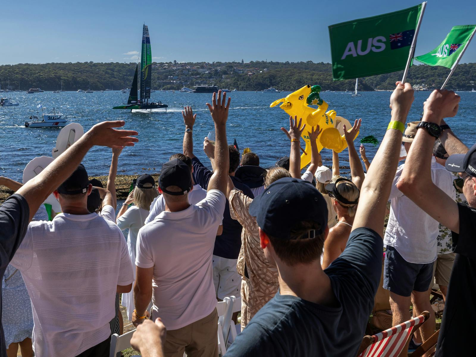 Fans on Shark Island cheers on Australian SailGP Team