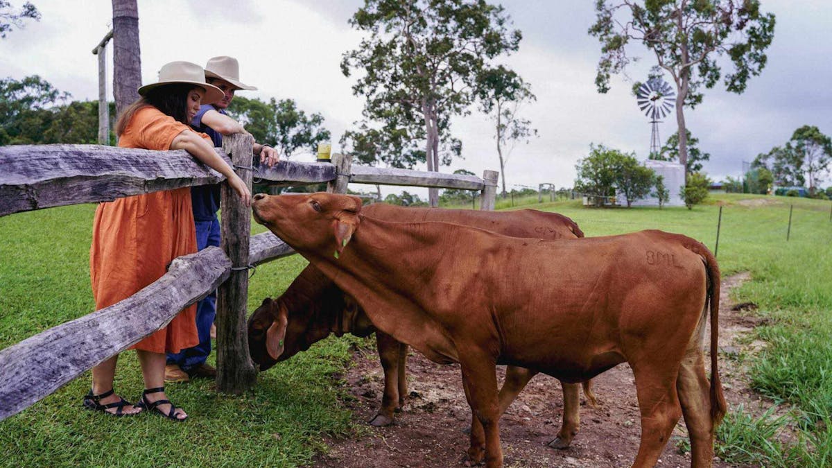 Guest Patting the freindly farm animals at the hitching rail retreat tropical north Queensland